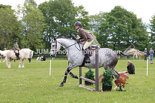 IMG_2750 - Working Hunter