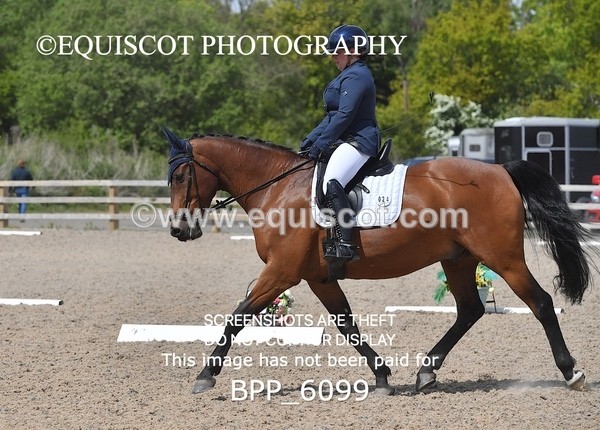 BPP_6099 - 24 L HAMILTON