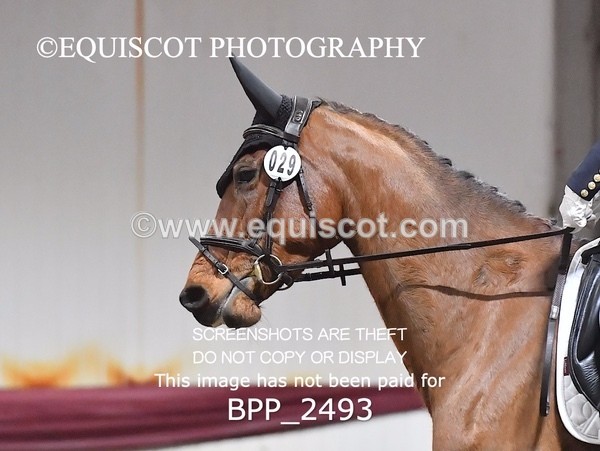 BPP_2493 - 29 - H BARCLAY