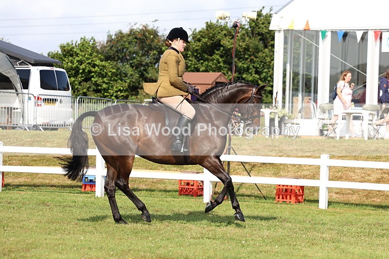 3E7A8585 - Class 3: Rising Star S/L Hunter