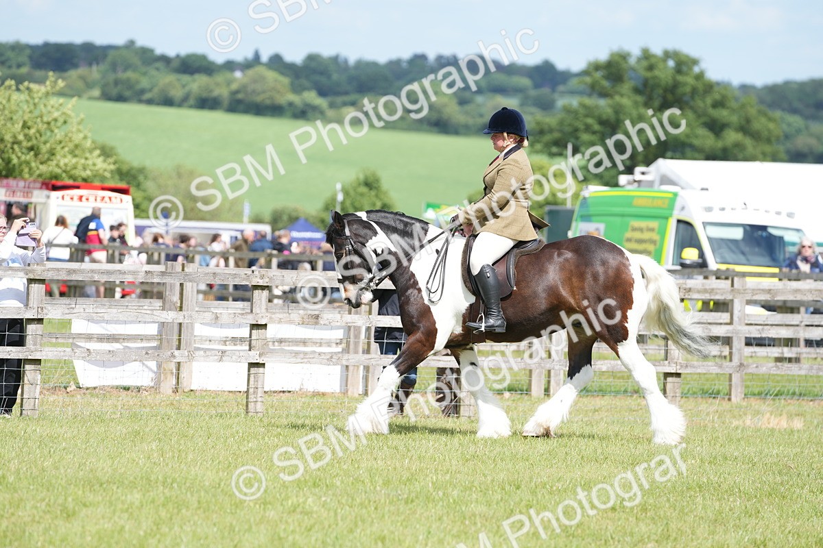 SBM_17287 - Class 107-108 - LIHS BSPS Performance Coloured Horse Pony