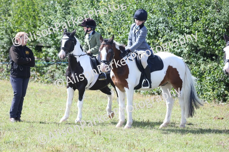 20250831-2523 - Class 16 - Family Pony