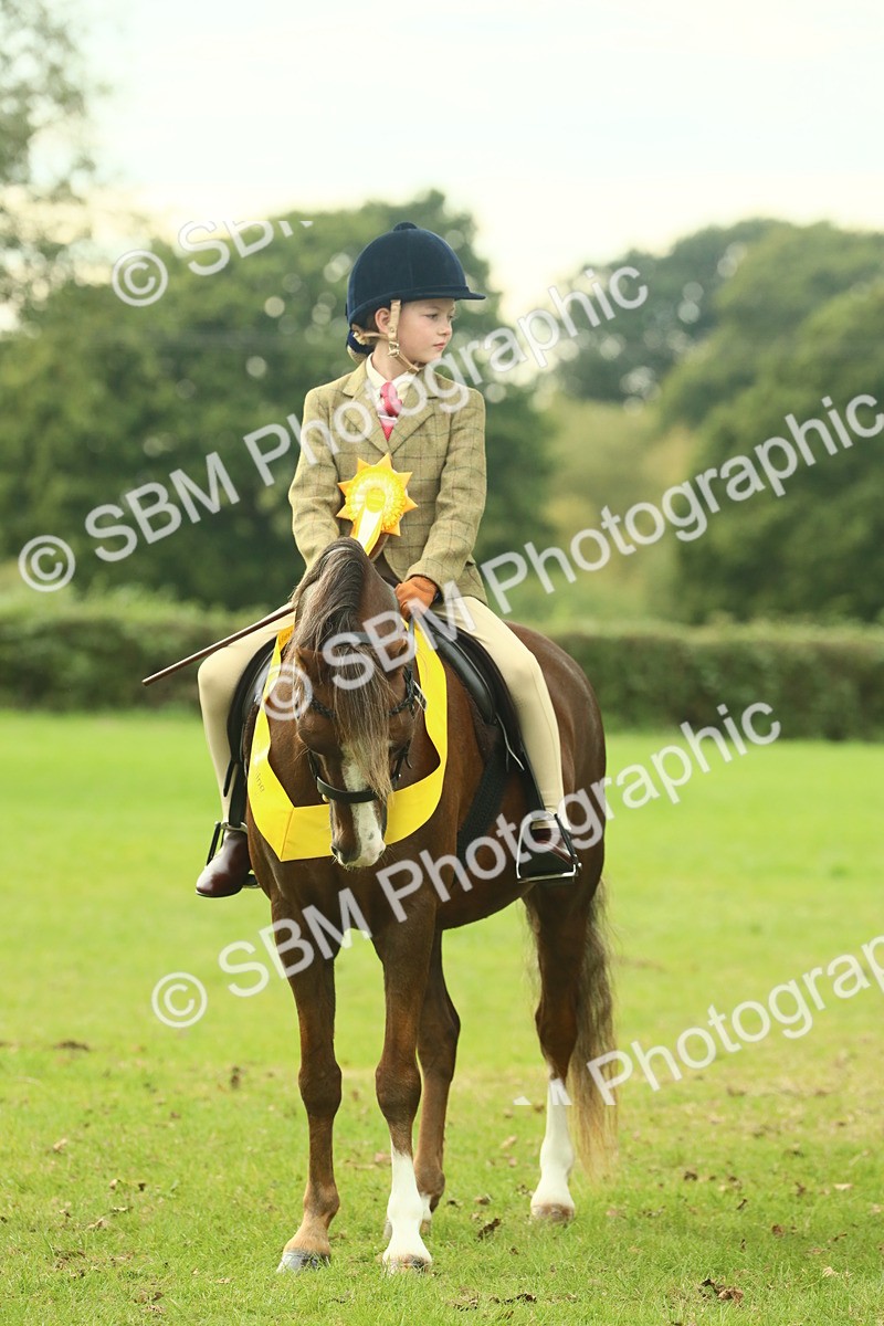 SBM_75087 - Ridden Pony Supreme Championship