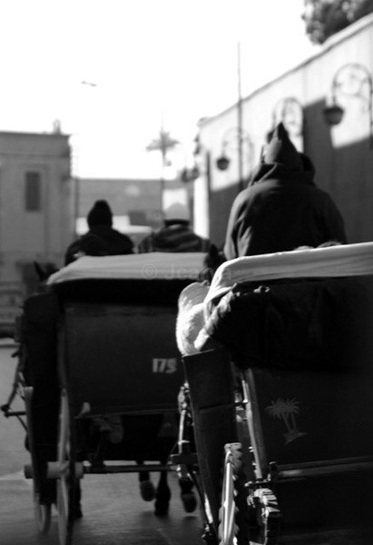 Hooded ride - Marrakesh I