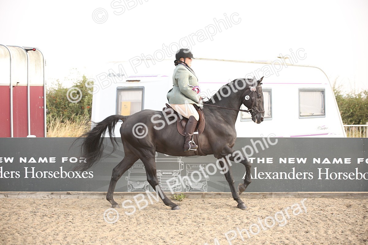 SBM_10288 - Class 402 Riding Club Horse