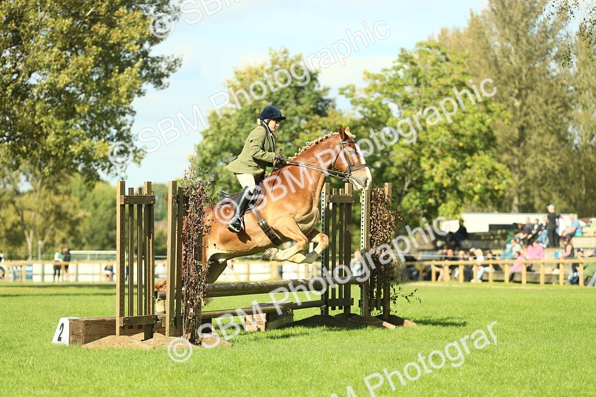 SBM_48102 - S32 - Novice & Newcomers Working Hunter