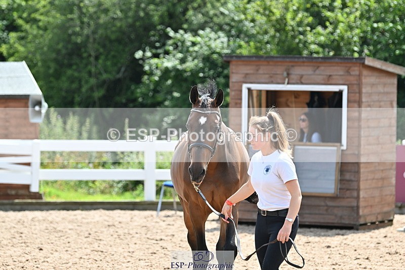 240717A-150030-02429 - Trot Up 3pm to 4pm