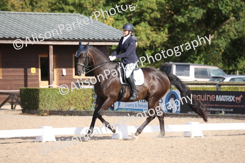 20250820-1687 - Class 22 - Advanced Medium 6