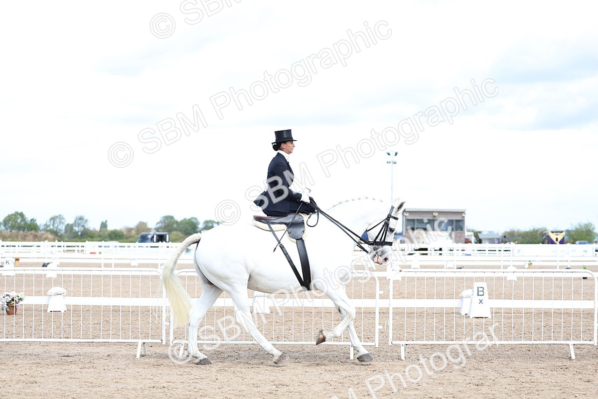SBM_03199 - Class 22 - SSA Equitation (any age)