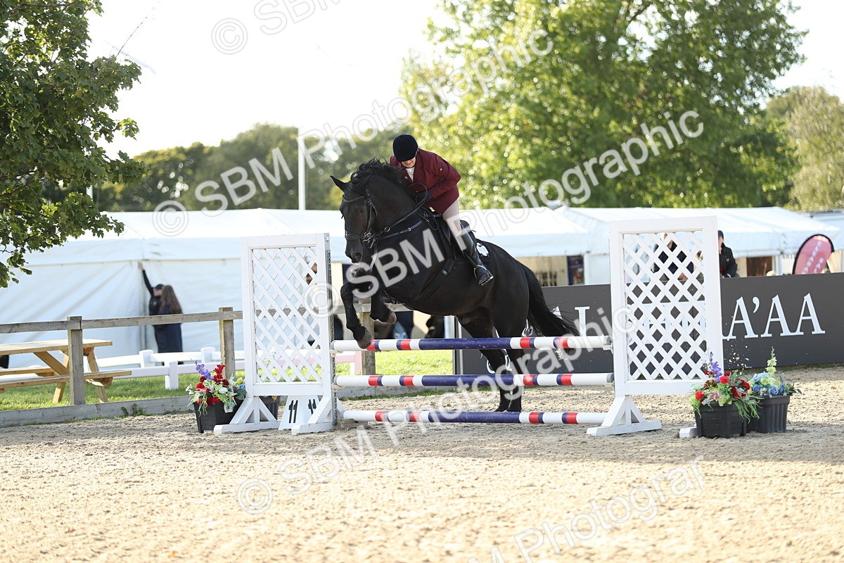 SBM_11469 - J37 - Veteran Rider 75cm