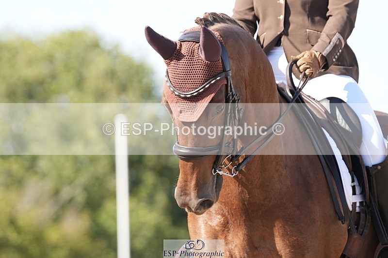 250906-153642-04825 - 109-Ruth.OfieldBurlesque.M