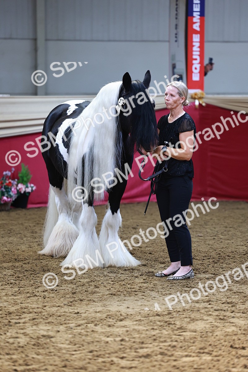 SBM_22379 - Class 902 - Supreme Final - IH Diamond