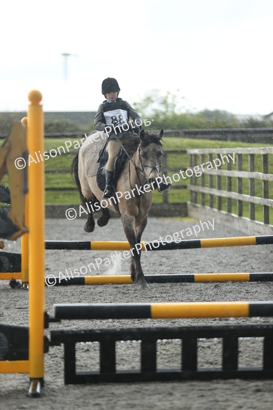 20260412-1943 - Show Jumping