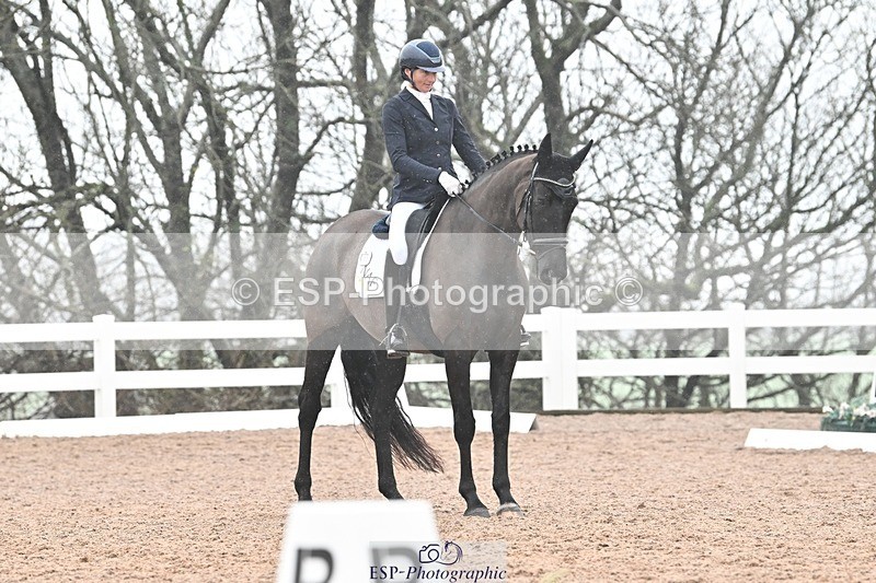 250215-133036-03873 - 165-Elder.Klatzko-Dynasty.Hit