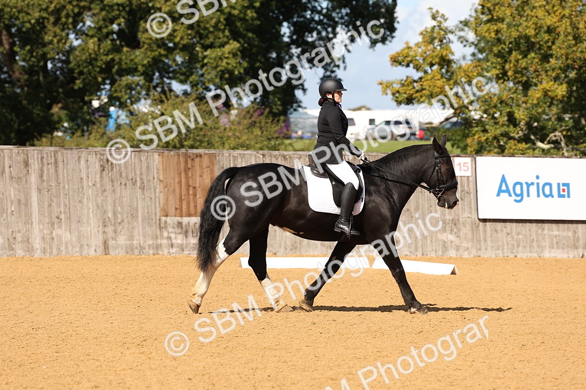 SBM_06135
