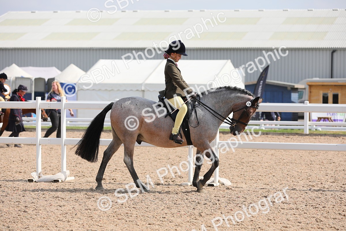 SBM_14686 - Class 310 First Ridden Pony