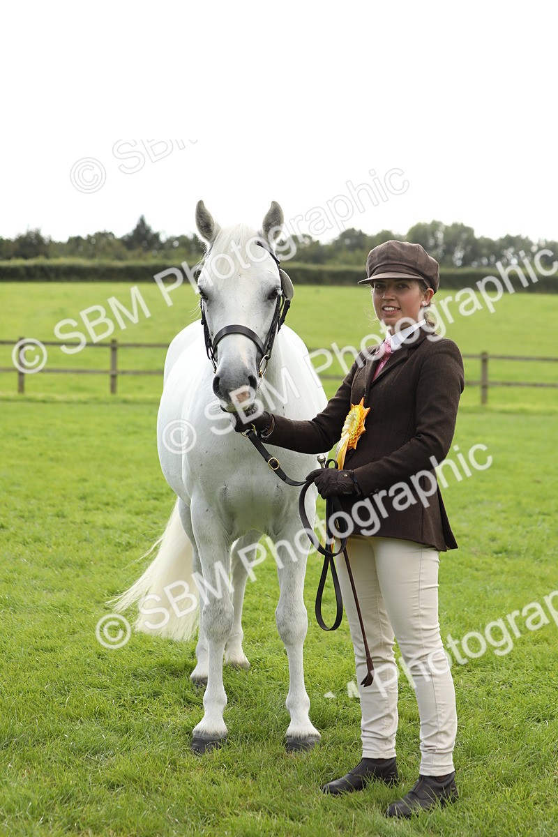 SBM_65547 - S47 - Mountain & Moorland In Hand Large Breeds