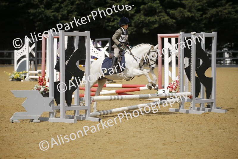 20250622-3745 - 50cm