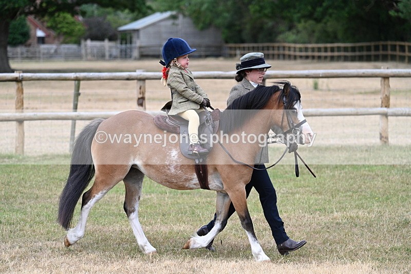 WJ7_9637 - Class 1 Lead Rein Pony