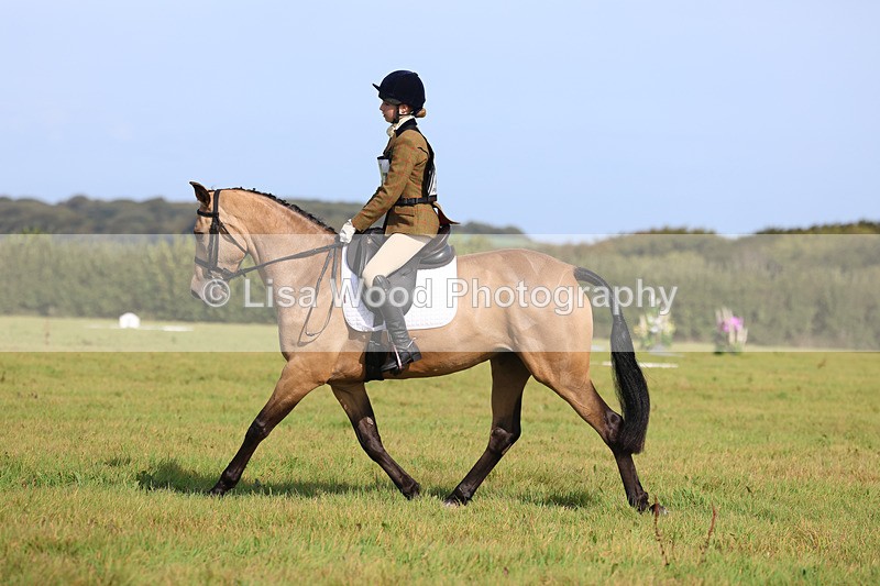 3E7A6082 - Class 1: Trebudannon Open: Dressage (Part 2)