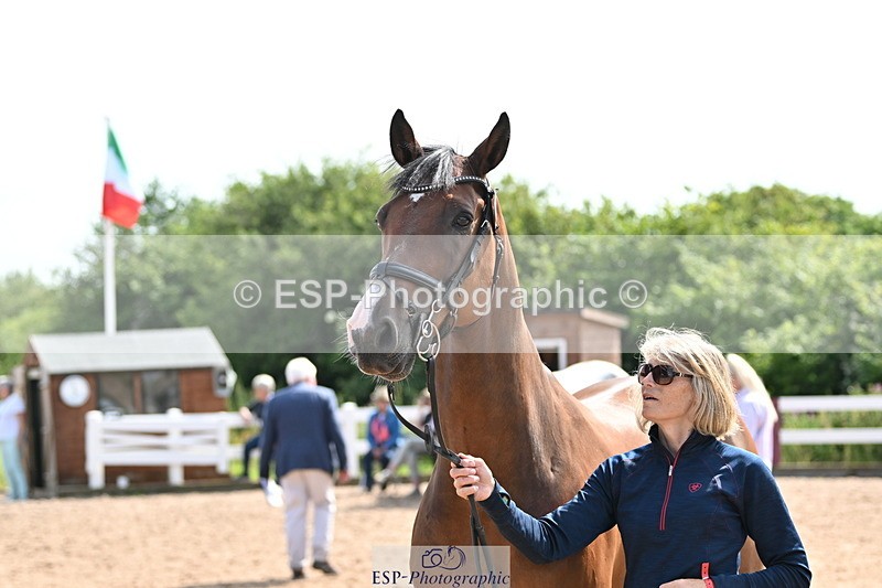 240717A-155805-03229 - Trot Up 3pm to 4pm