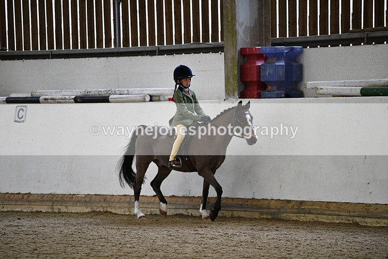 WJ5_6499 - Class 10 Childs Pony