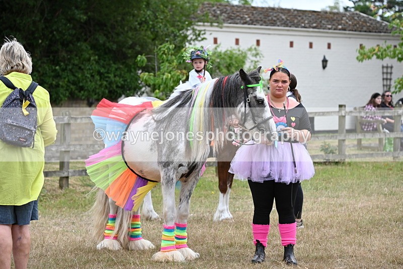 WJ6_9142 - Class 11 Fancy Dress