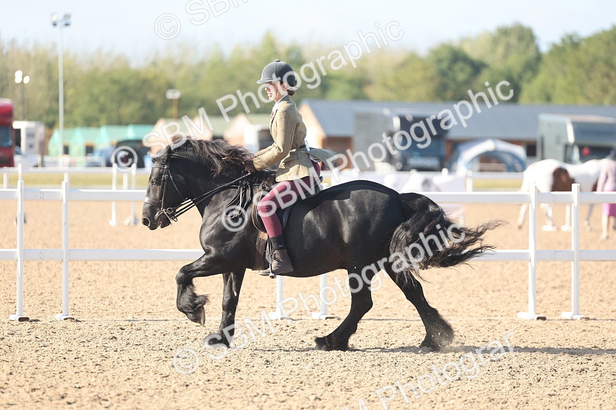 SBM_22177 - Class 802 - Ridden Groom Helpers Class