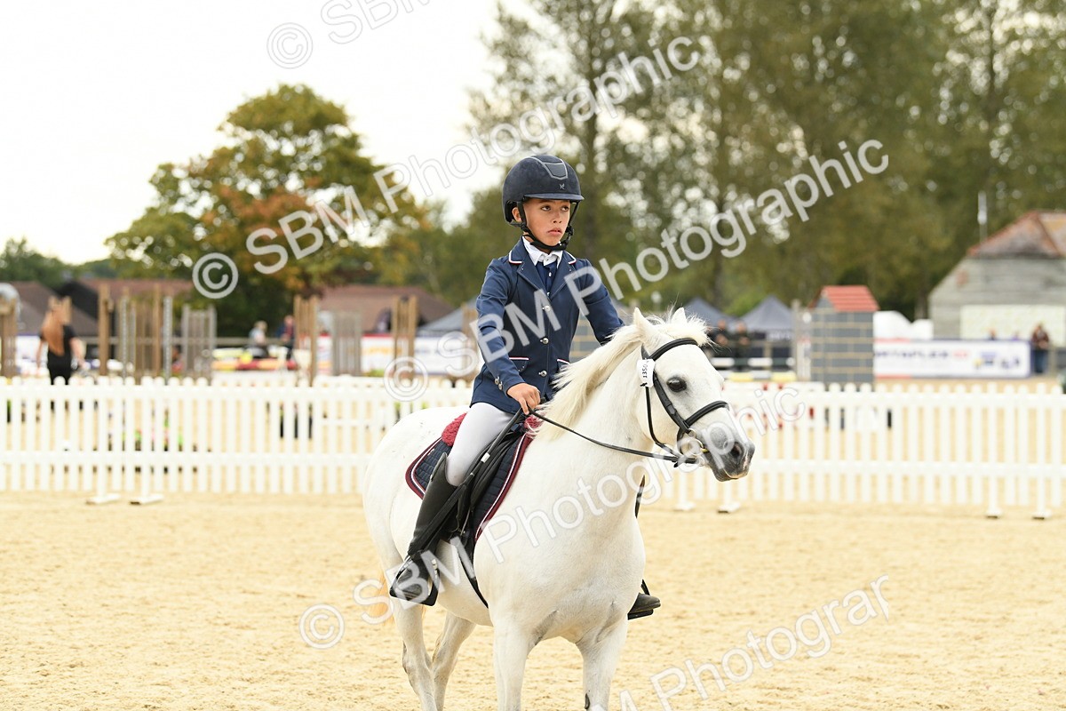 SBM_73257 - J16 - Junior Pony 75cm Championship