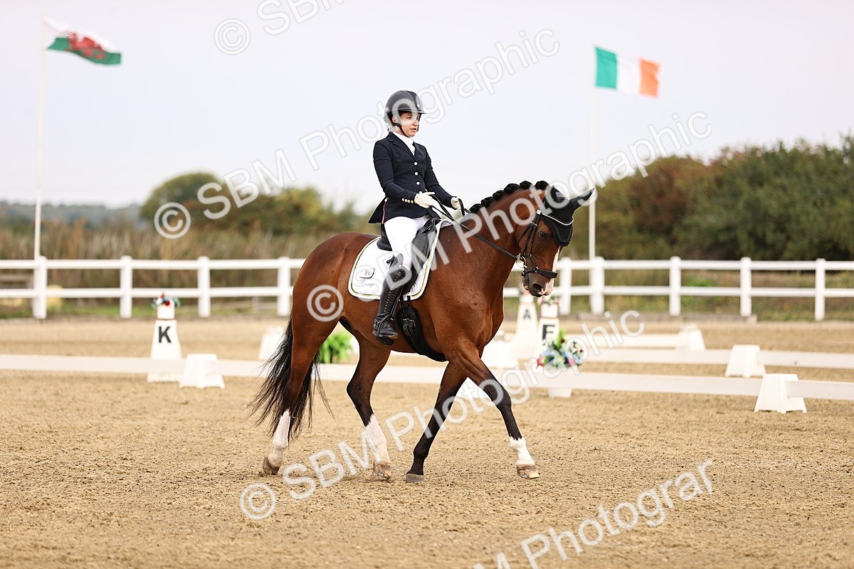 SBM_011664 - Class 1 - Medium 5