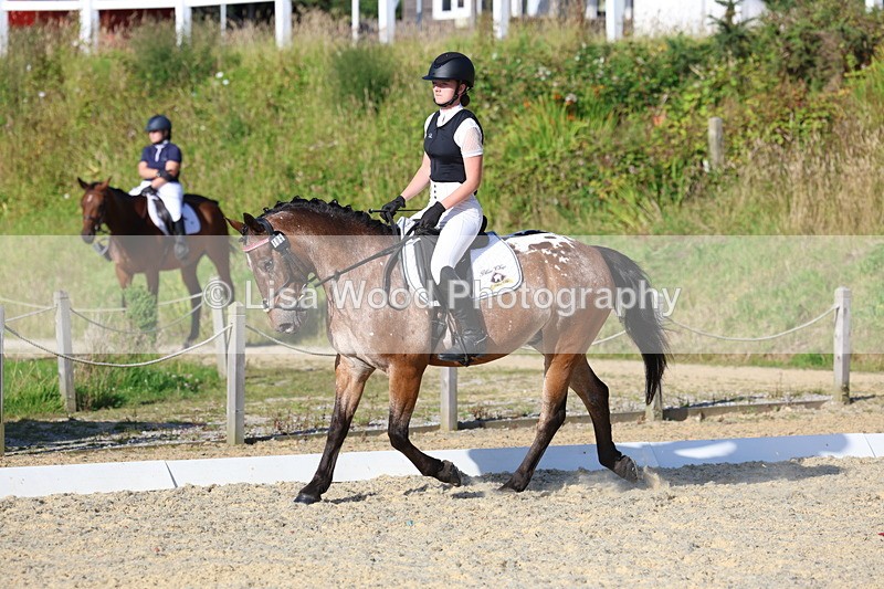 3E7A3626 - Class 2: Intro 1 2024 Section B