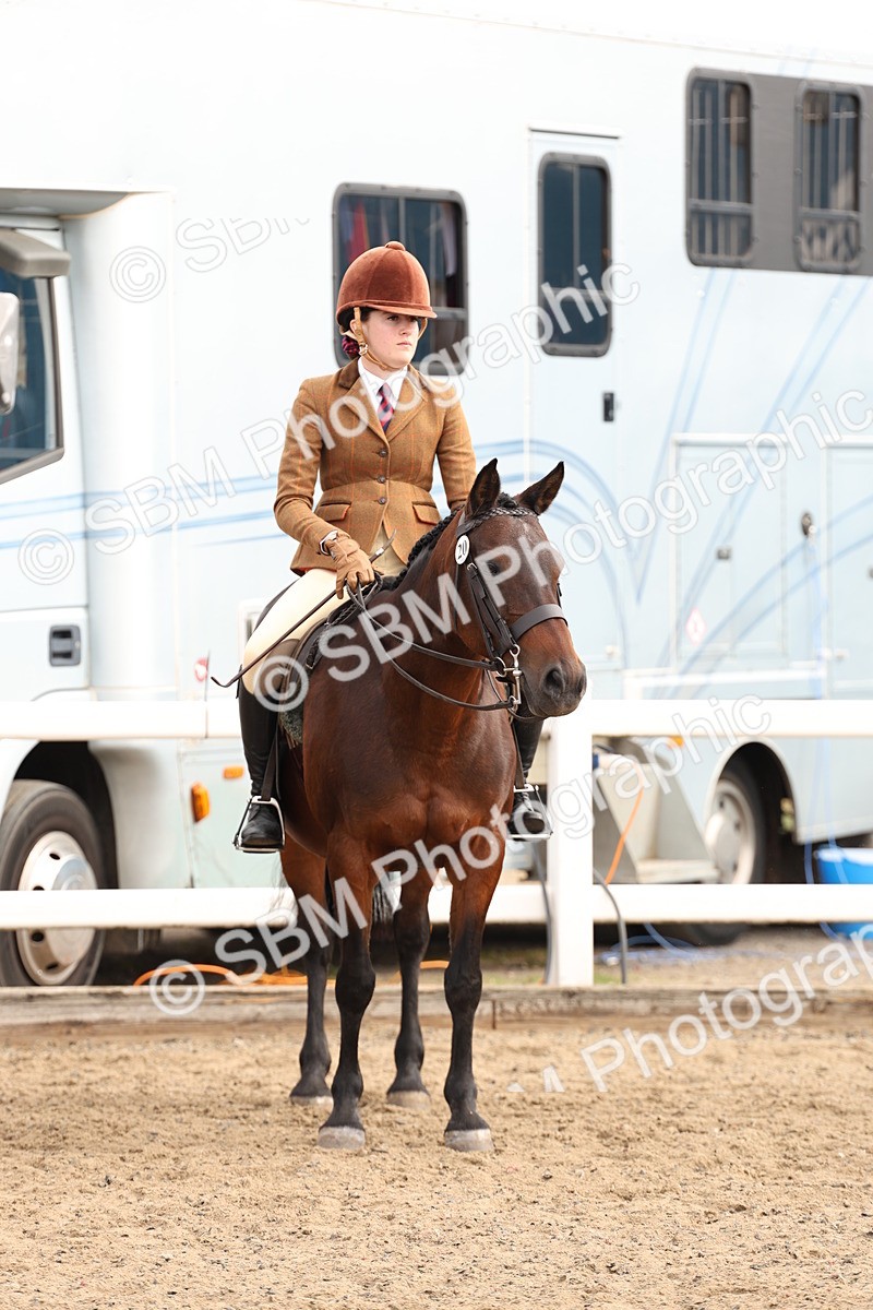 SBM_01580 - Class 52 - Ridden Veteran