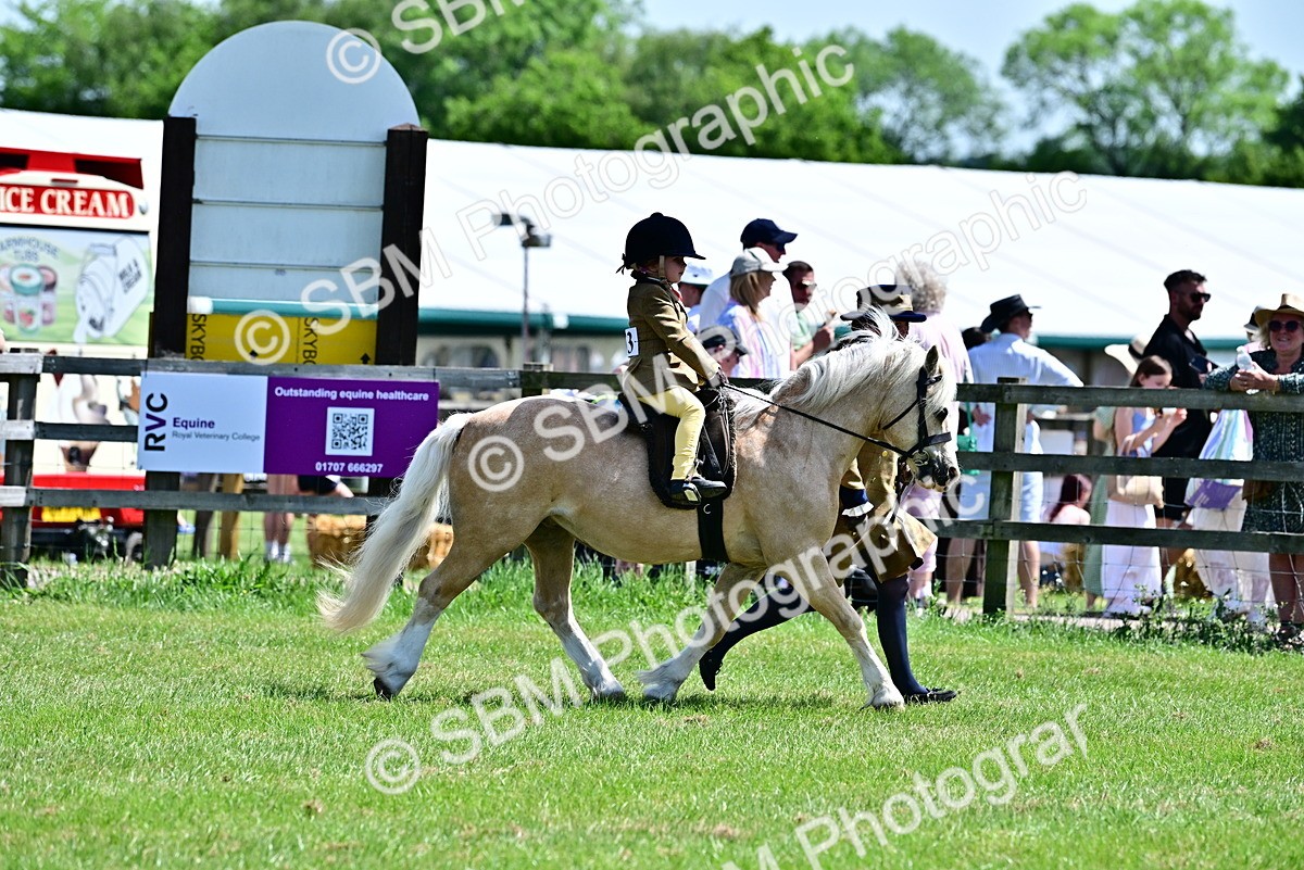 SBM_05785 - Class 59-60 - TSR M&M  Lear Rein and First Ridden Amateur of the year