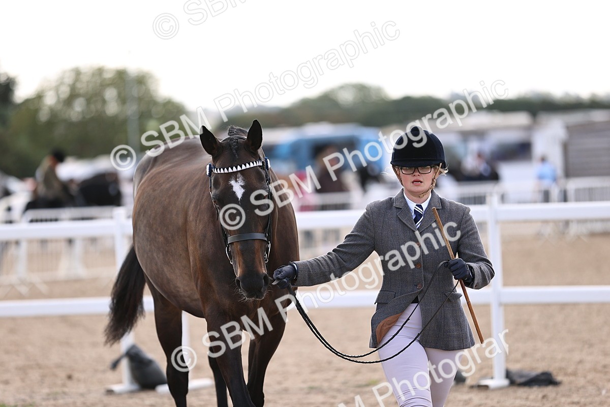 SBM_11552 - Class 407 - IH Hack-Riding Horse