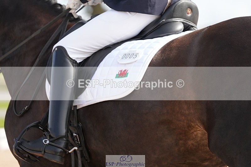 250906-103431-01513 - 005-Jessica.AllenHendrewen.Desert.Lady