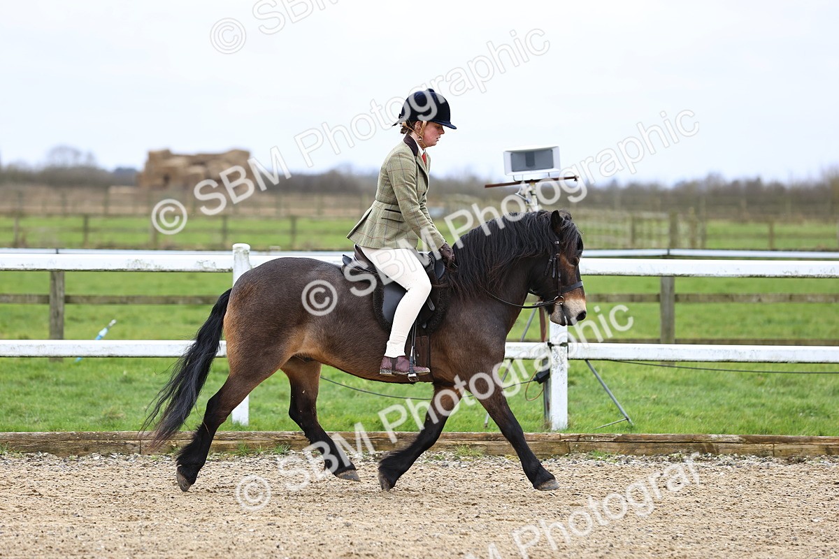 SBM_006770 - Class 29 - 30 - M&M Pure Novice Small-Large Breeds