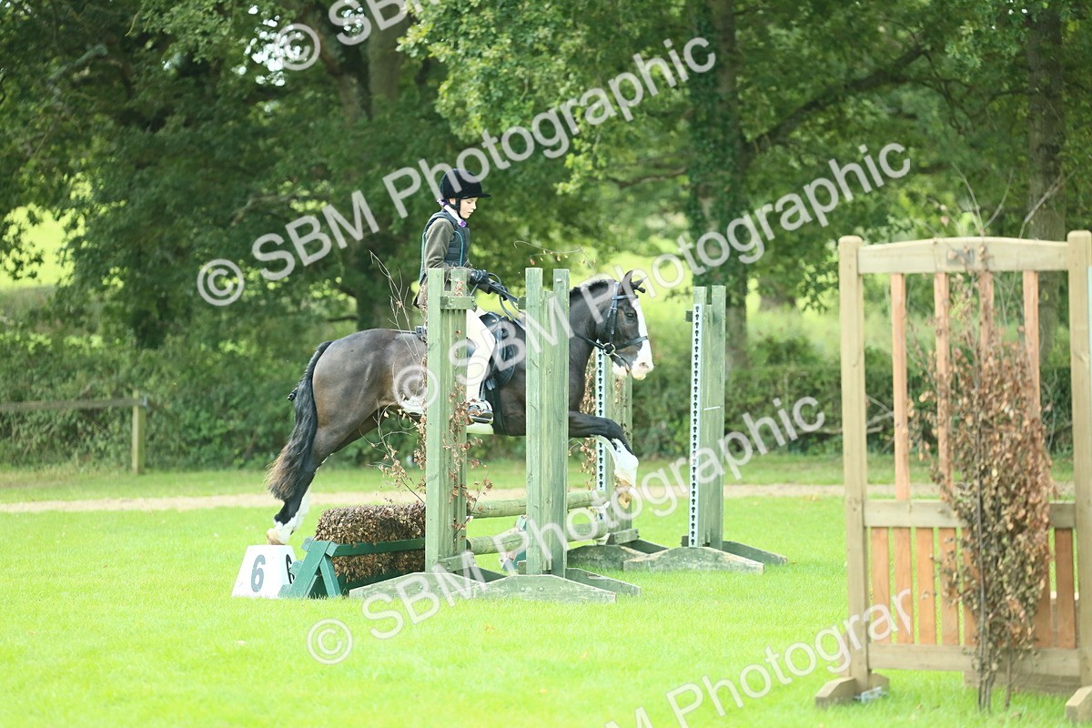 SBM_42022 - S29 - Novice & Newcomers Working Hunter Pony