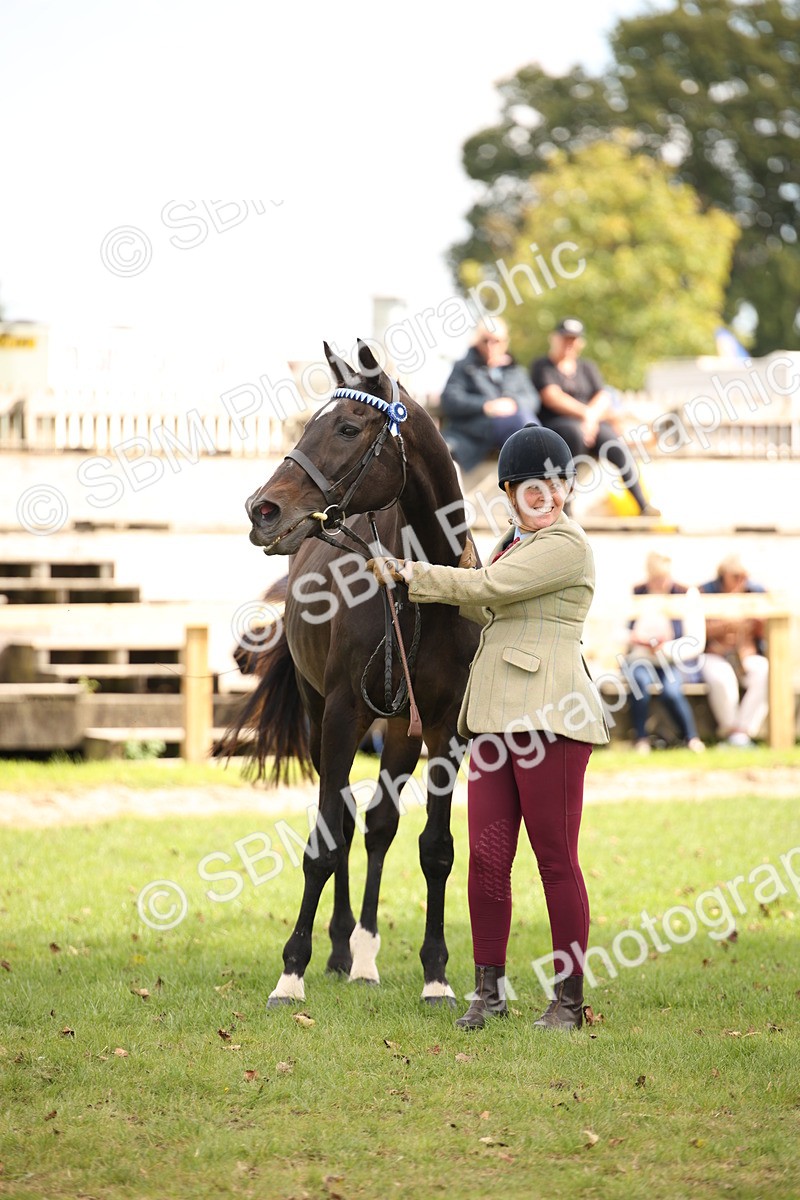 SBM_46398 - S25 - Mature Veteran In Hand