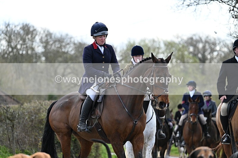 WJ7_9809 - Walk Home