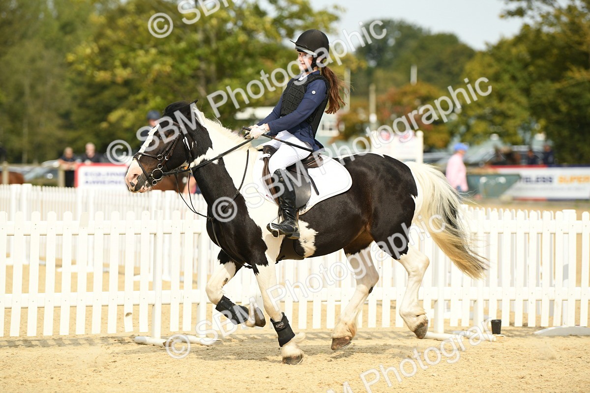 SBM_65311 - J48 - Pairs Jumping Open 70cm & 85cm