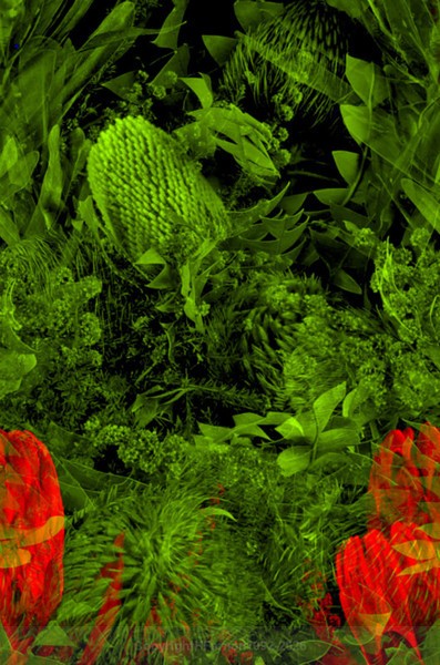 STILL LIFE-CYCLE - STILL LIFE-CYCLE I 2012