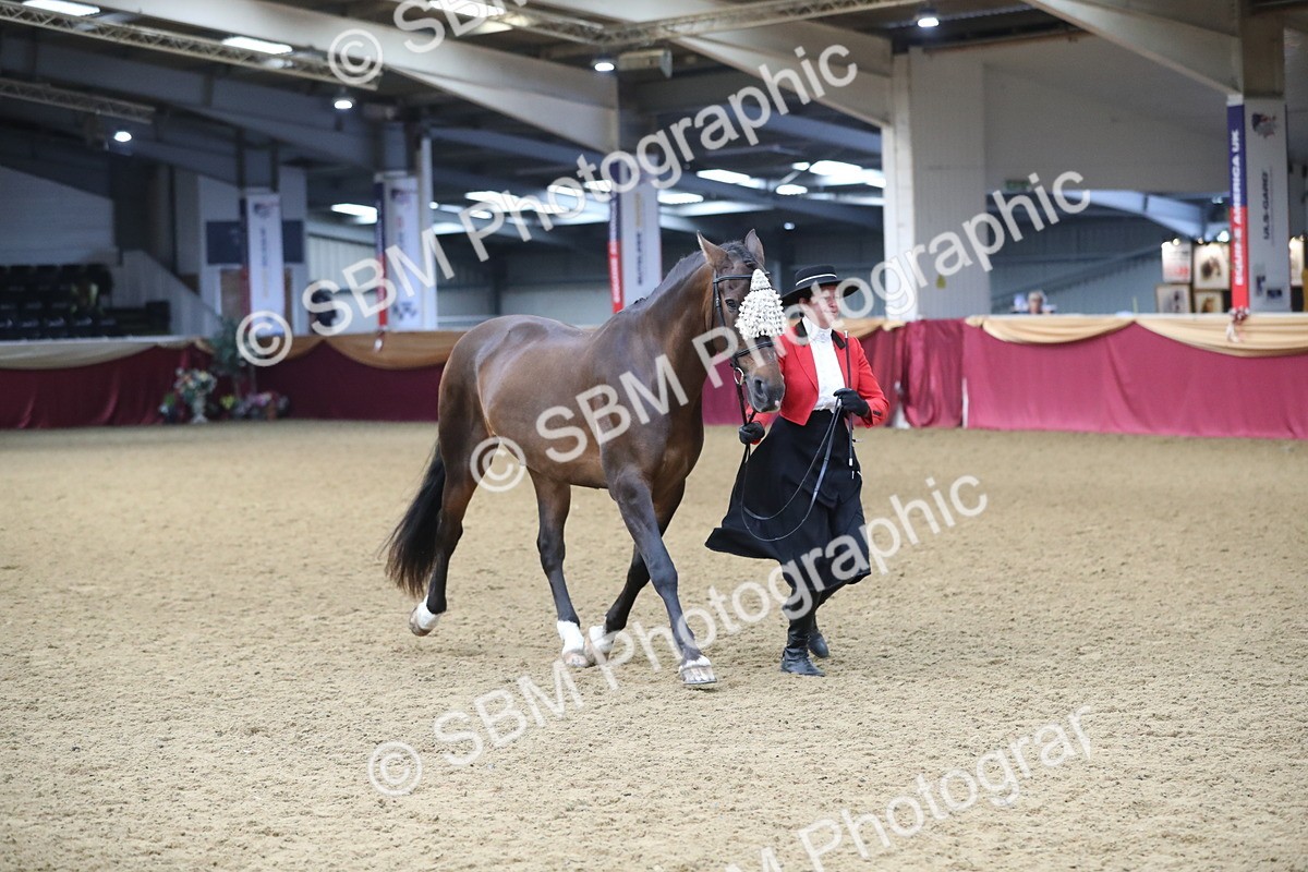 SBM_10805 - Class 103 IH Costume