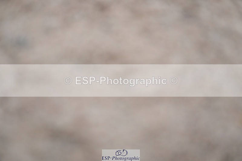 250308-133046-02204 - Cls 10 Pony Foxhunter and 1.10m