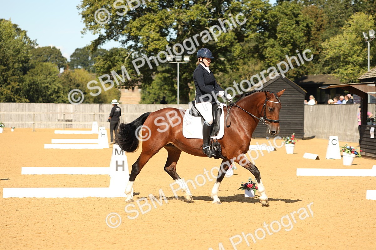 SBM_24534 - D17 - Grand Tour Championship - Novice 27