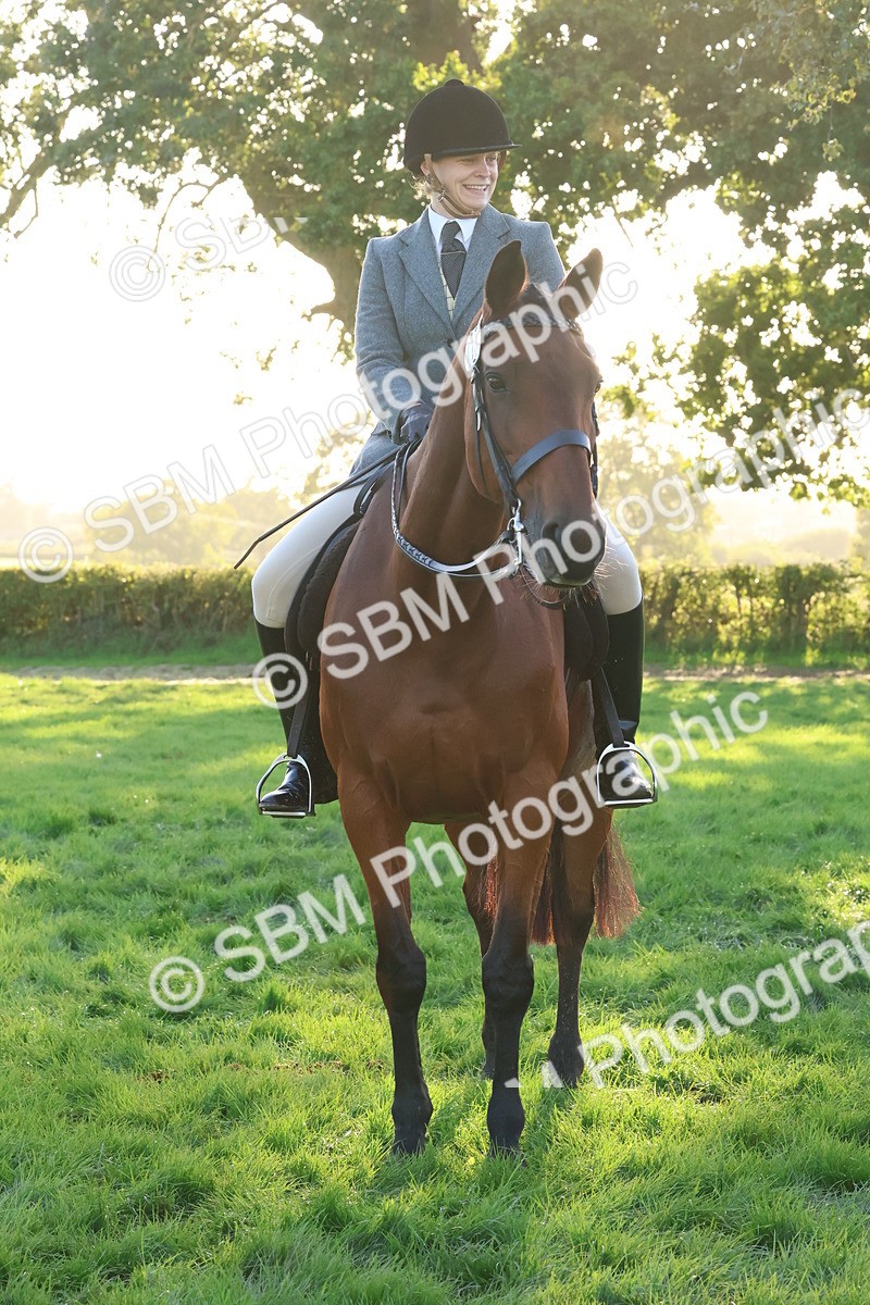 SBM_53066 - S29 - Mature Veteran Ridden