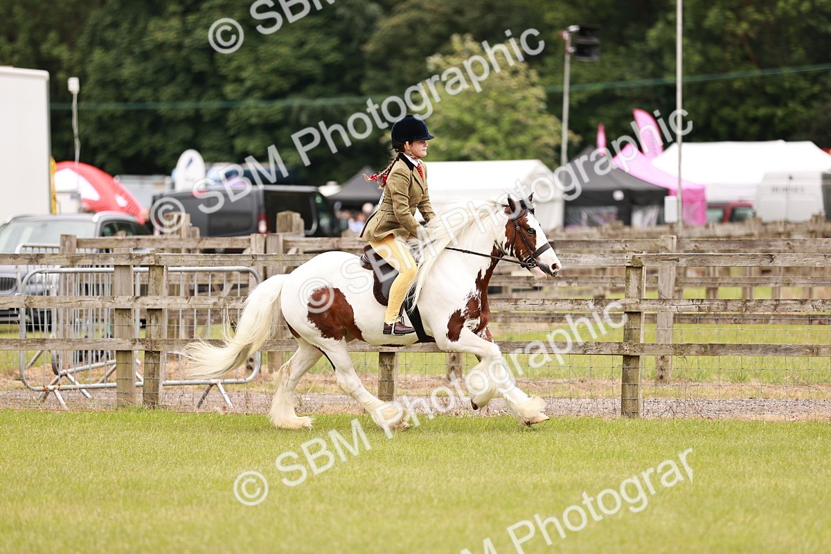 SBM_06202 - Class 39-41 TGCA In Hand and Ridden
