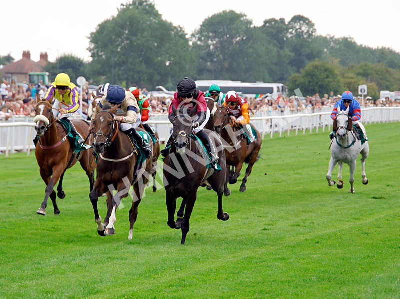 250725-Race 5-Idyllic-88680 - Race 5