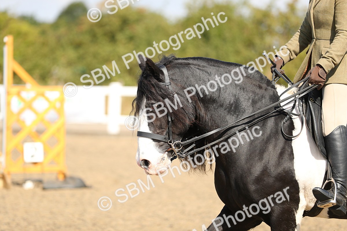 SBM_03230 - Class 44 Riding Club Horse/ Pony