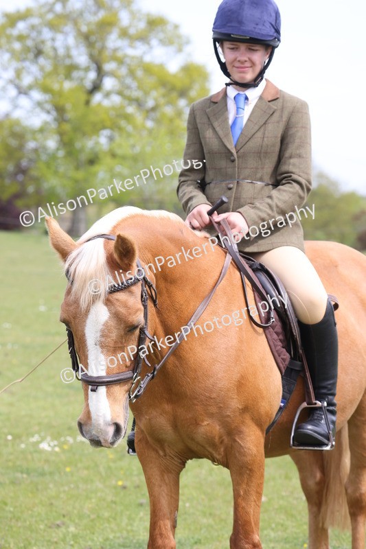 20260426-3036 - Class 33 - Best Pony 14.2hh and Under