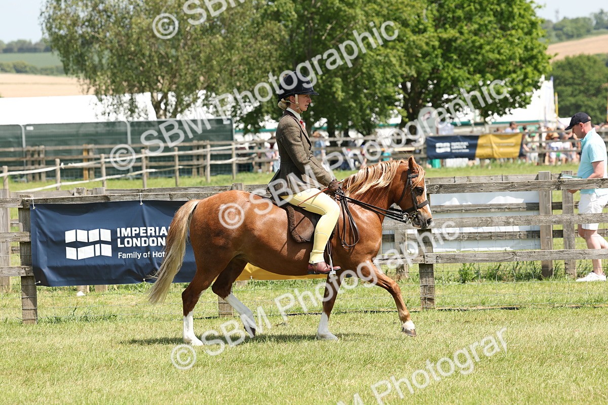 SBM_06734 - Class 26-30 - Mountain and Moorland Ridden
